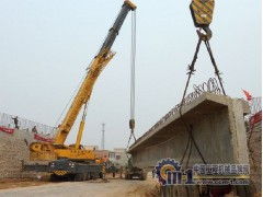 上海浦東區(qū)吊車出租 機(jī)場鎮(zhèn)吊車出租 機(jī)器吊裝